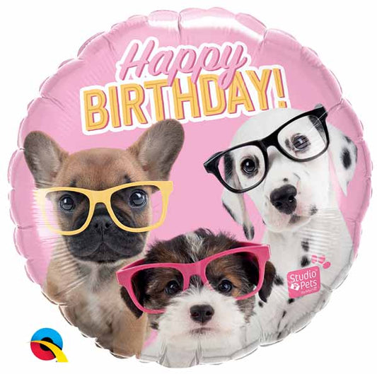 Birthday Puppies with Glasses